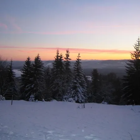Flat With Balcony In Black Forest Apartment Furtwangen