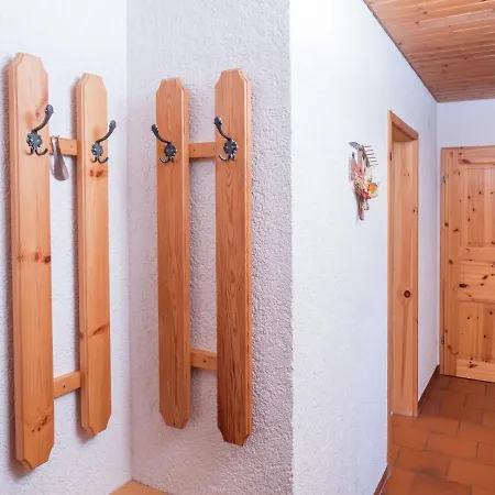 Flat With Balcony In Black Forest Apartment Furtwangen