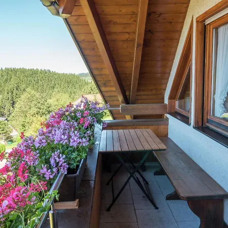 Flat With Balcony In Black Forest Furtwangen