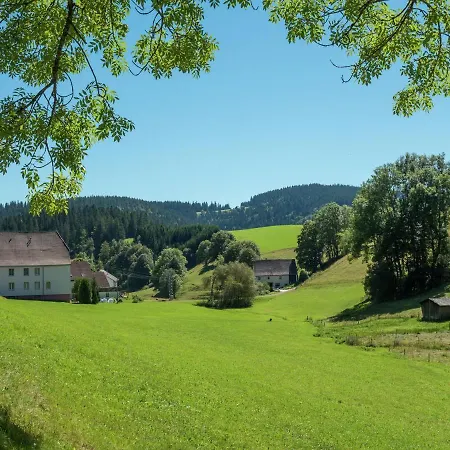 Flat With Balcony In Black Forest شقة فورتفاغن