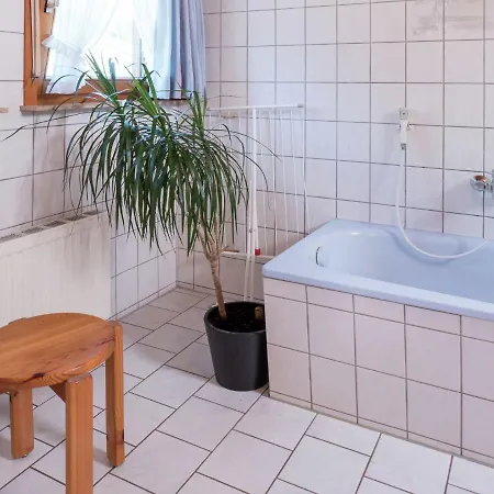 Flat With Balcony In Black Forest Apartment