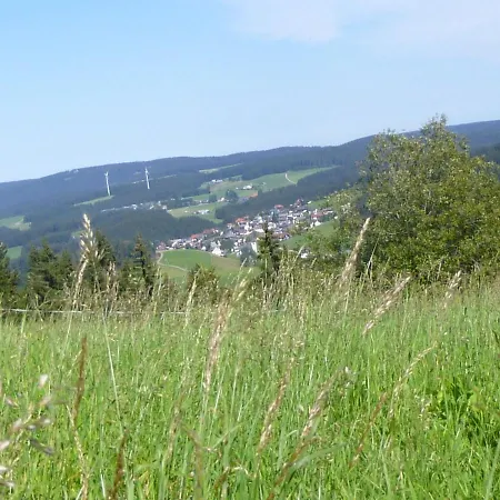 Flat With Balcony In Black Forest شقة