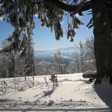 Flat With Balcony In Black Forest *