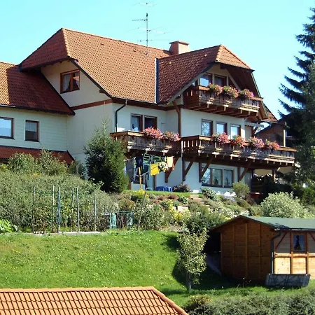 Flat With Balcony In Black Forest Furtwangen