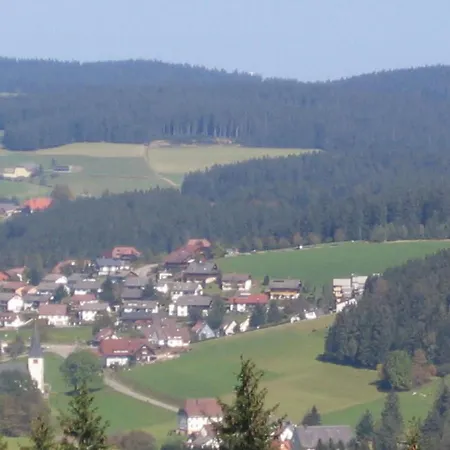 Apartment Flat With Balcony In Black Forest