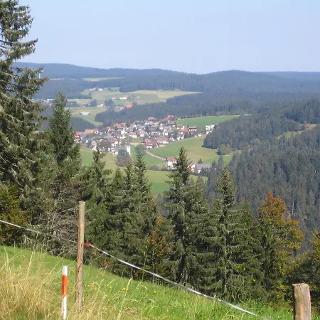 شقة Flat With Balcony In Black Forest فورتفاغن