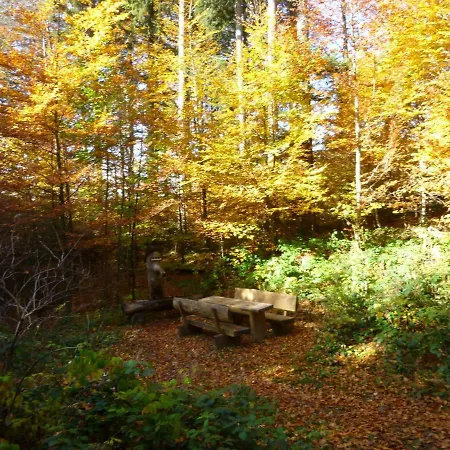 Flat With Balcony In Black Forest Apartment Furtwangen