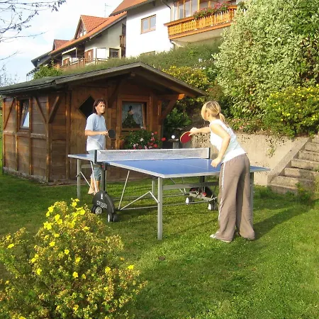 Apartment Flat With Balcony In Black Forest Furtwangen