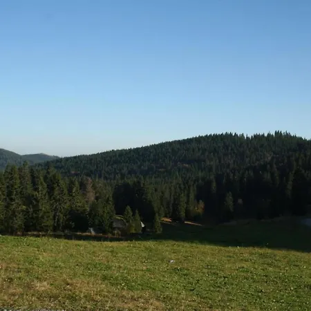 Apartment Flat With Balcony In Black Forest *