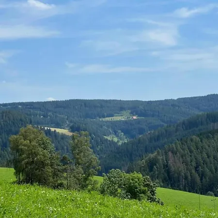 Flat With Balcony In Black Forest Apartment Furtwangen