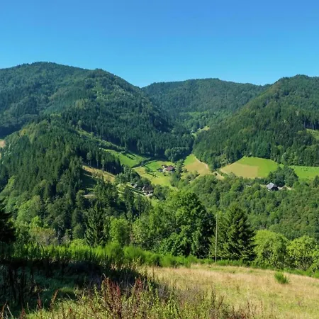 Flat With Balcony In Black Forest Furtwangen