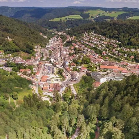 Flat With Balcony In Black Forest