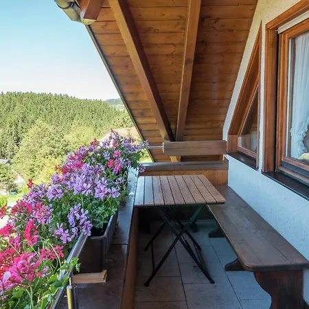 Ferienwohnung, Apartment