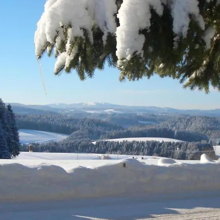 Ferienwohnung, Apartment