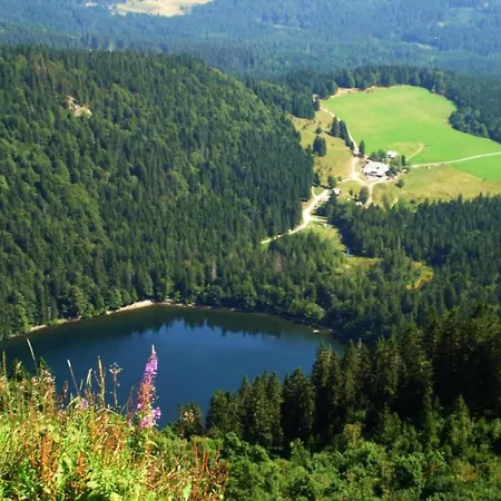 Ferienwohnung, Apartment Furtwangen