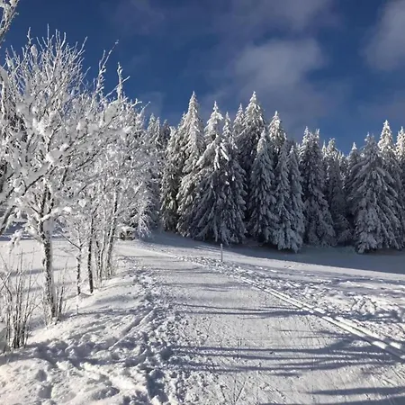 Ferienwohnung, * Furtwangen