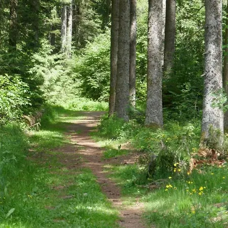 Ferienwohnung, * Furtwangen