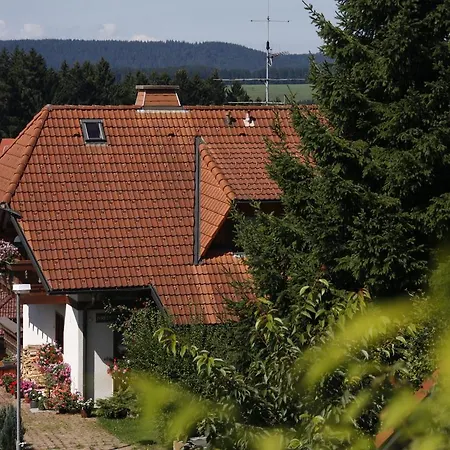 Apartment Ferienwohnung, Furtwangen